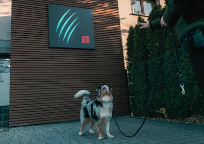 Klinika Teodorowscy - przychodnia weterynaryjna i szpital dla zwierząt